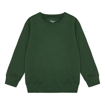 BIRKHOLM Sweatshirt Platan Grøn